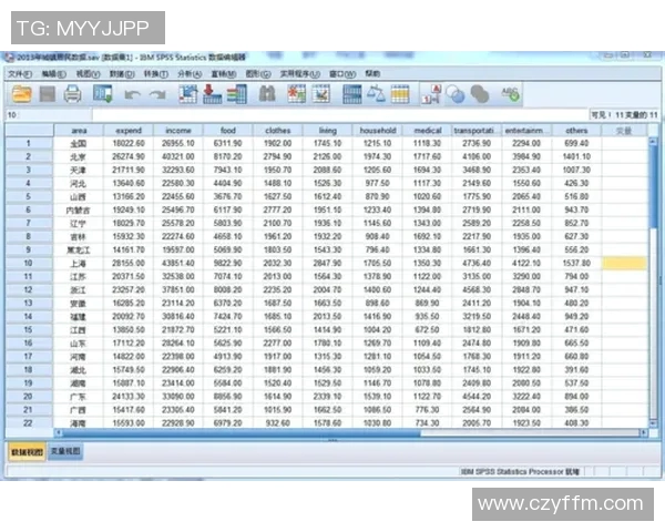 武汉篮球队配合表现的数据分析与战术探讨实时数据