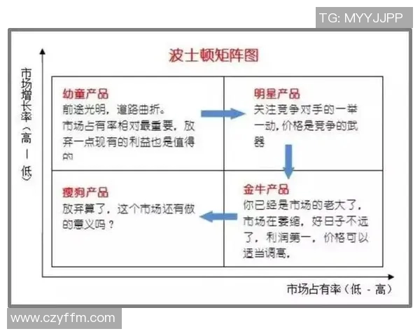实时新闻深入分析上海飞盘队的运营策略与发展模式探秘